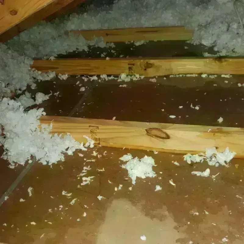 Attic Water Damage in Castroville, CA